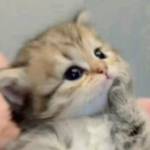 KisstoFear