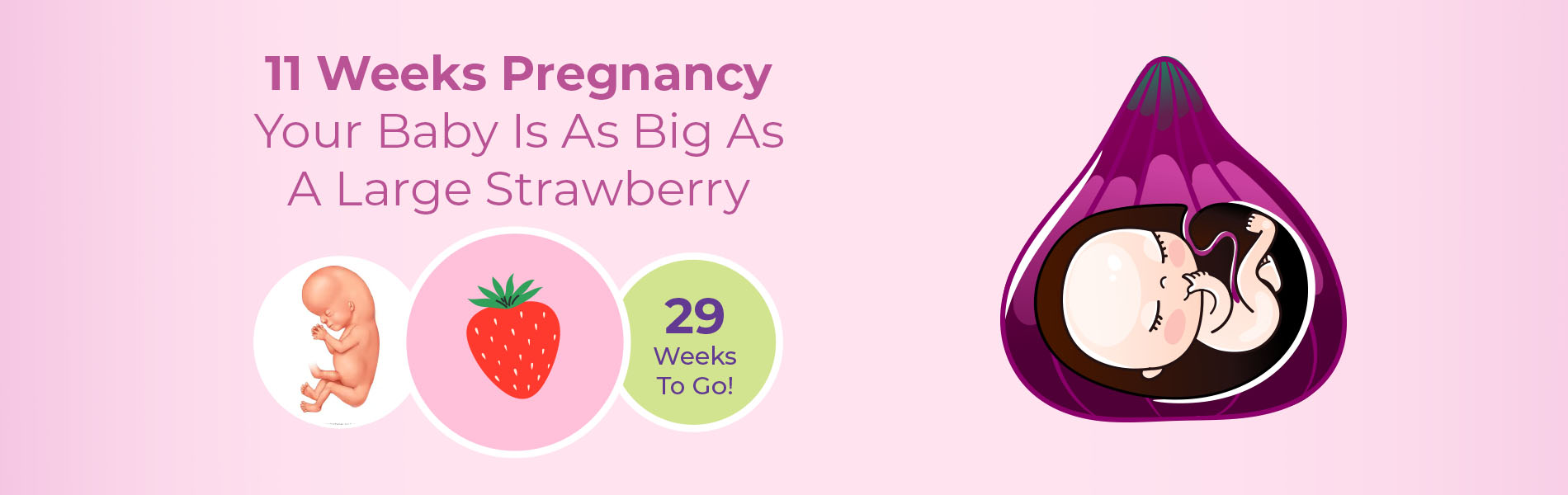 11 Weeks Pregnant Symptoms, Belly, Baby Size, Foods to Eat and Tips