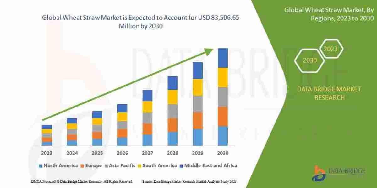 Global Cake Pops Market Rises with Snacking Trends and Gifting Culture Evolution