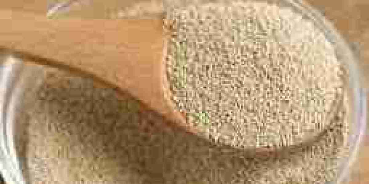 Yeast and Yeast Extract Market Analysis: Growth Drivers and Forecast 2032