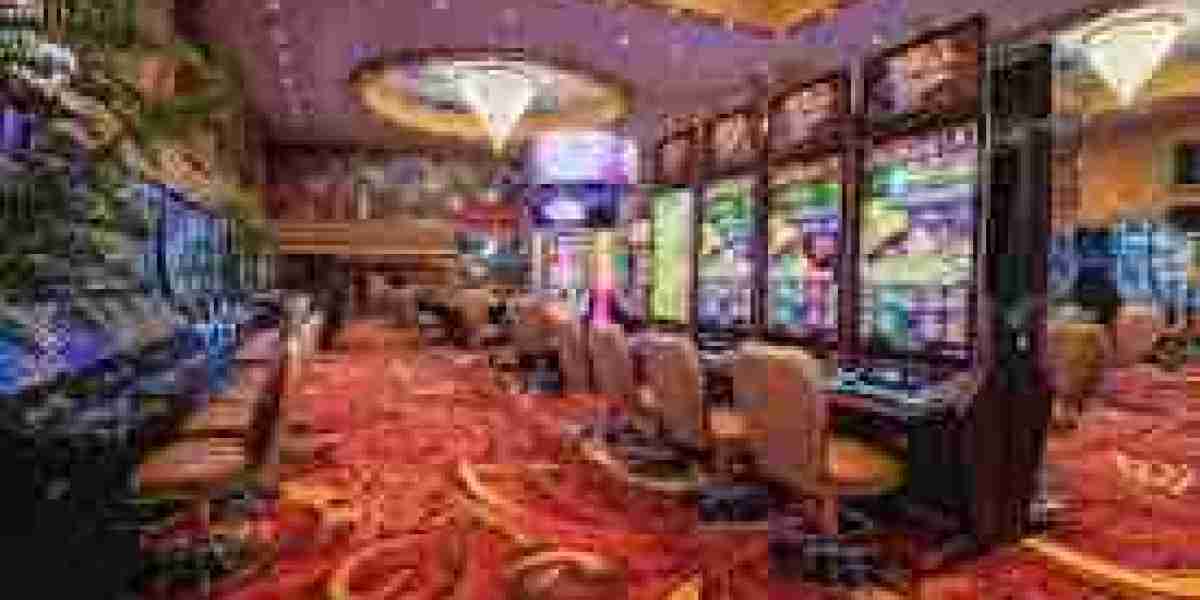 The Role of VIP and Loyalty Programs in Casinos