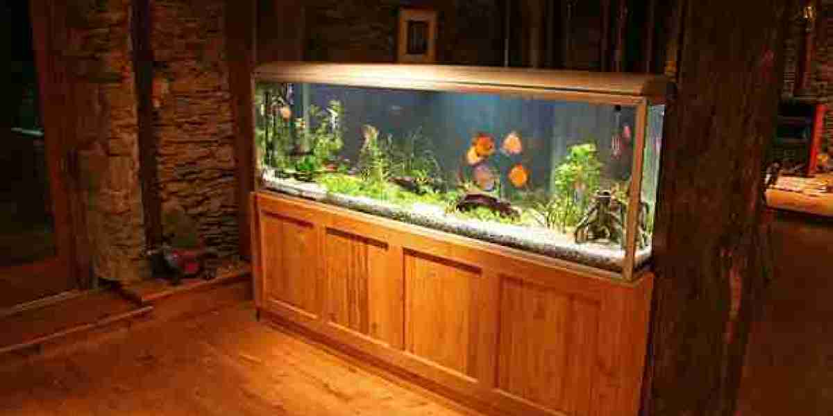 Inside the Aquarium Market: The Fascination with Ornamental Fish